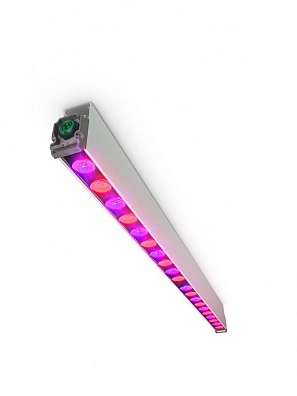 Philips GPL Toplighting 1.3