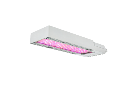 Philips GPL Toplighting Compact 1.2